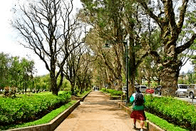 pathway in burnham park baguio city